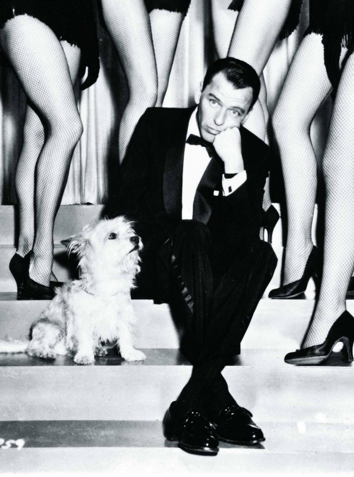 Frank Sinatra and a dog, sitting on some stairs with sexy legs surrounding him in a scene from the film 'Pal Joey', 1957. (Photo by Columbia Pictures/Getty Images)