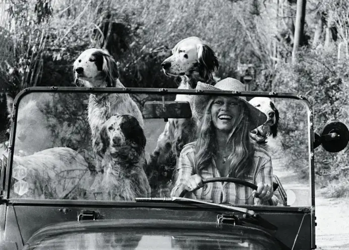 UNSPECIFIED FRANCE - APRIL 24: Brigitte Bardot with her dogs driving a Mini Moke on April 24,1980 in France. (Photo by Michou Simon/Paris Match via Getty Images)