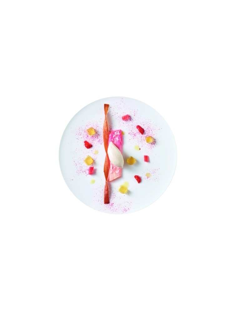 Un piatto di Claudio Paternollo: Rabarbaro, gelatina al limone, olio, sorbetto  al pomodoro e vaniglia.