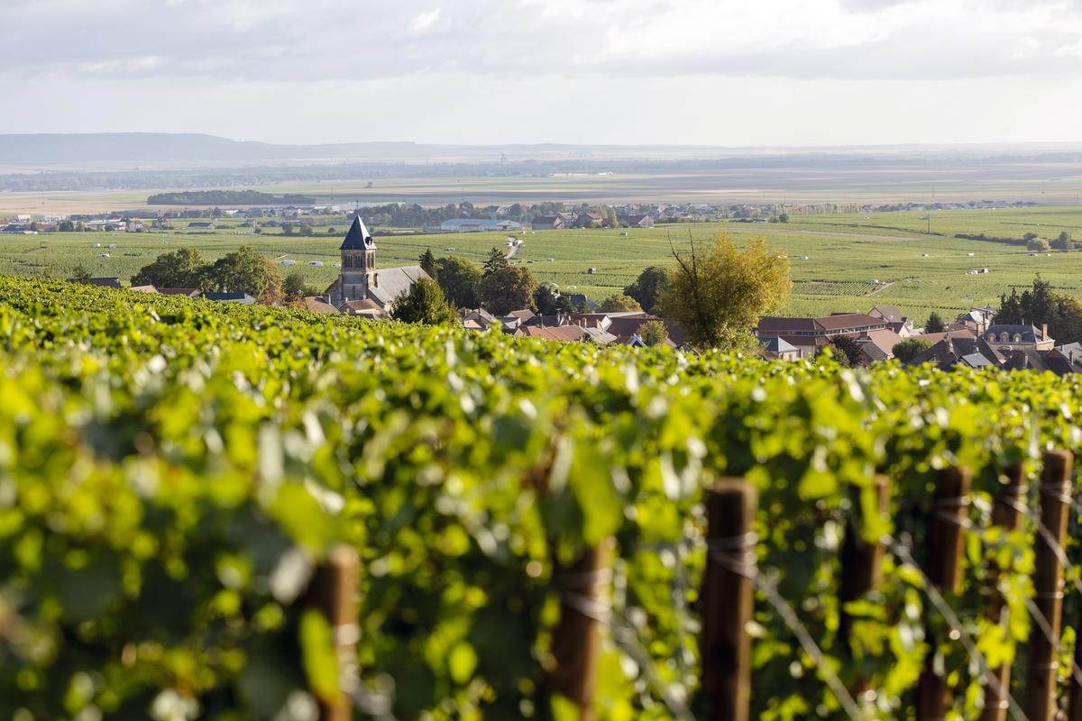 Nel club esclusivo degli champagne Barons de Rothschild