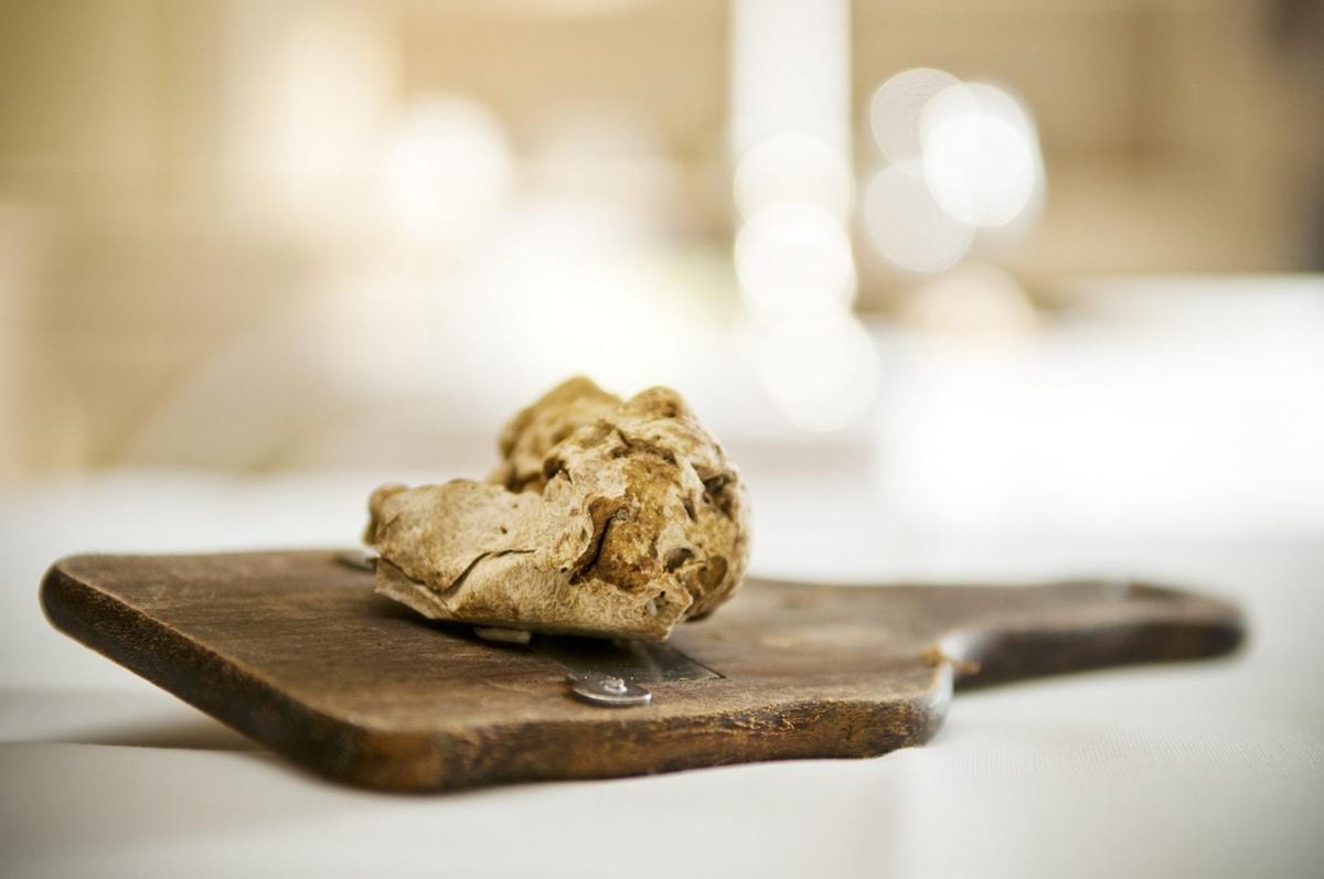 10 ristoranti  dove andare a caccia del diamante delle Langhe per la fiera del tartufo bianco d’Alba