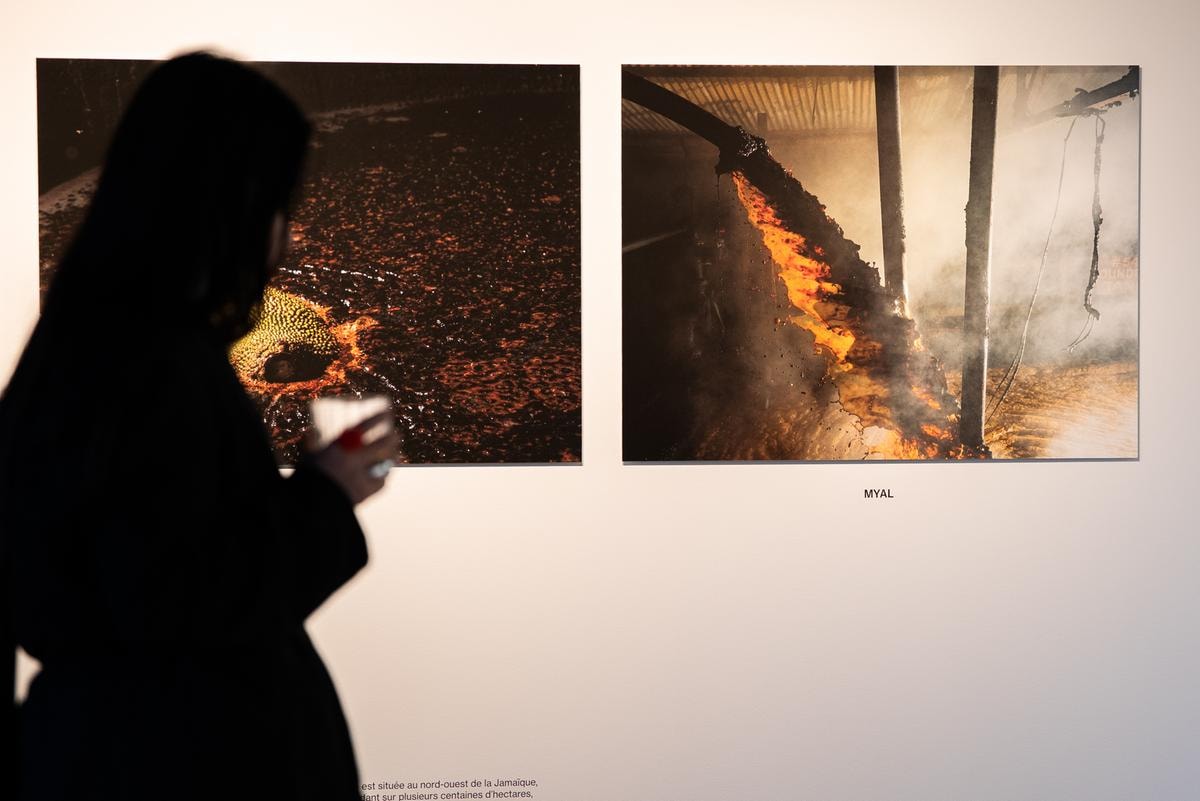 Hampden ritratto da Cristina de Middel un rum giamaicano da collezione per la Magnum Serie #3