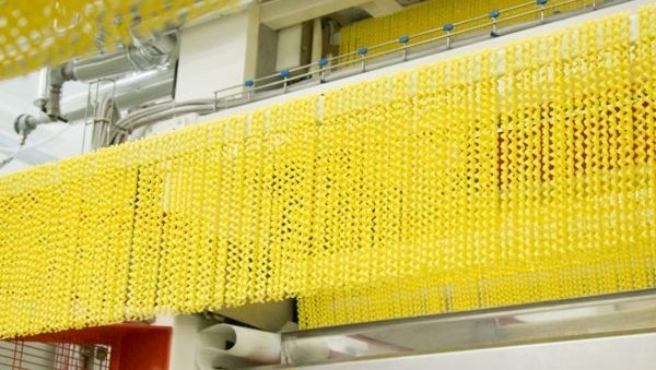 Pasta italiana nel mirino di Trump: super dazi del 107%. A rischio 480 milioni di export negli Usa