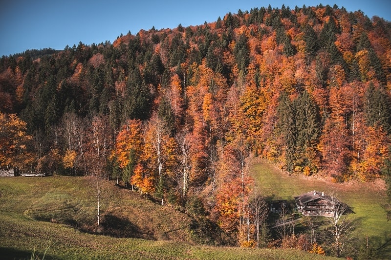 Foliage d’autunno: 7 mete spettacolari per scoprire l’Italia che cambia colore