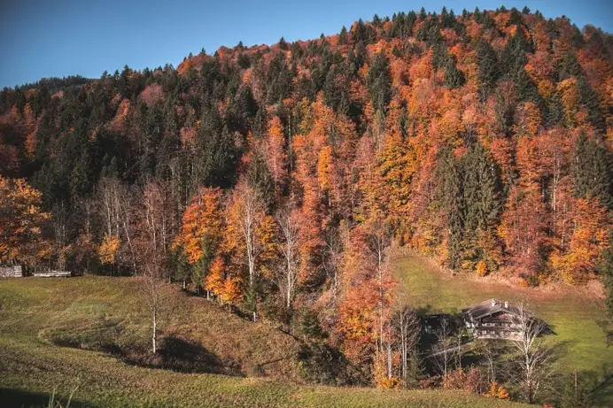 Foliage d’autunno: 7 mete spettacolari per scoprire l’Italia che cambia colore