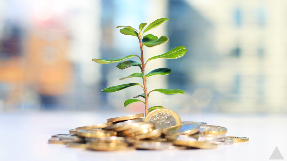 Investire ad accumulazione o a distribuzione? Come scegliere