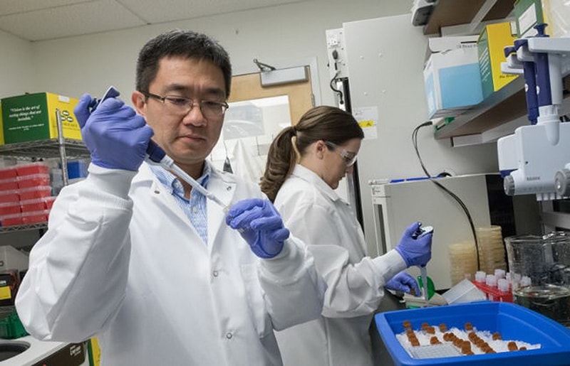 Così la Cina è diventa la farmacia del mondo: dagli antibiotici al biotech perché non si può più fare a meno delle sue medicine