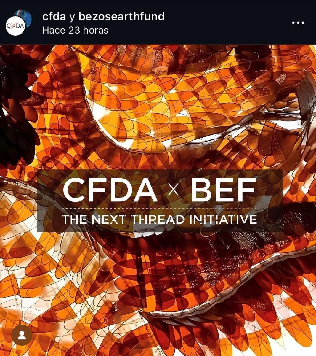 Un adv dell'alleanza Cfda x Bef (ph Instagram @cfda e @bezosearthfund)