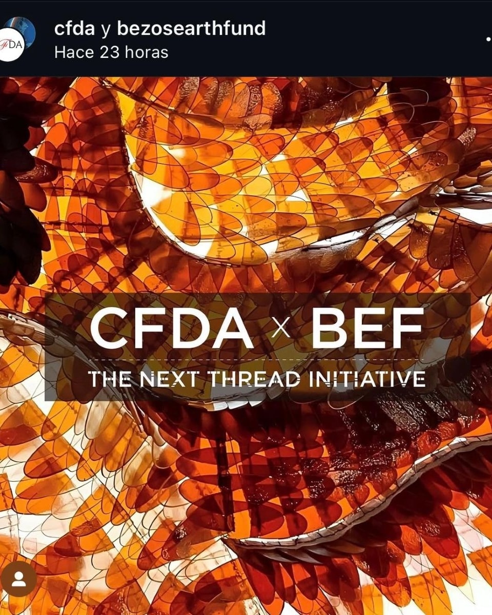 Un adv dell'alleanza Cfda x Bef (ph Instagram @cfda e @bezosearthfund)