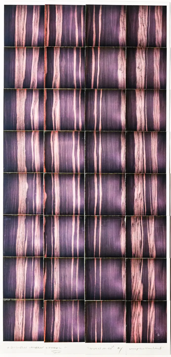 Il legno come arte contemporanea: l’occhio di Maurizio Galimberti racconta la materia di Busnelli