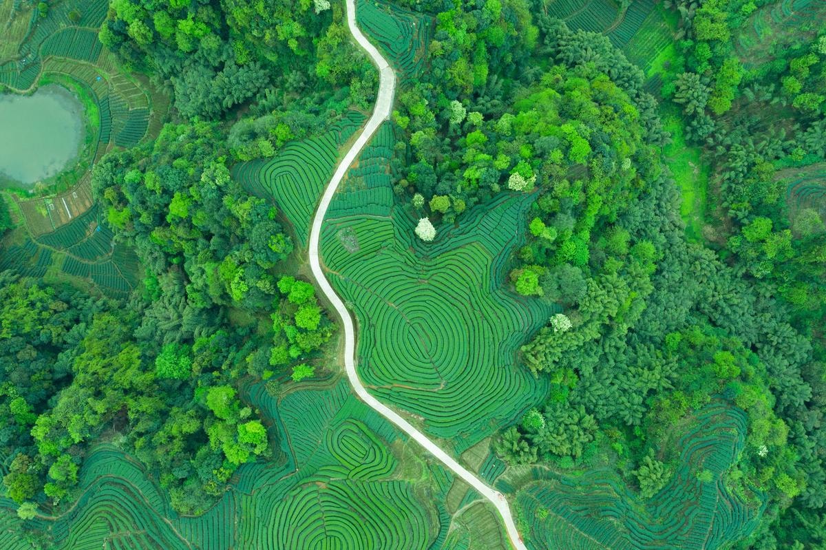 FOCUS CINITALIA Cop30, ecco i dettagli del piano climatico cinese per il 2035