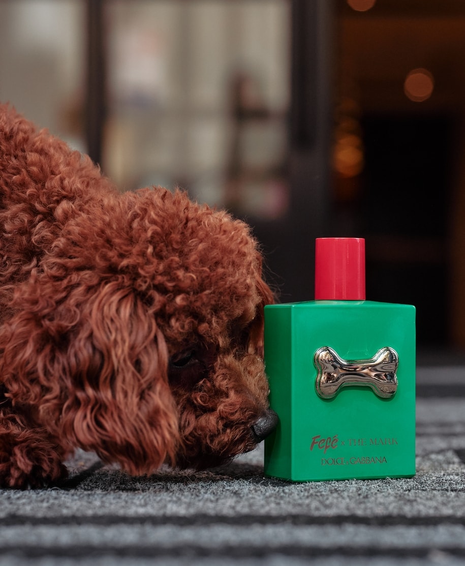 L'edizione limitata della pet fragrance Fefé di Dolce&Gabbana per The Mark hotel (courtesy The Mark hotel)