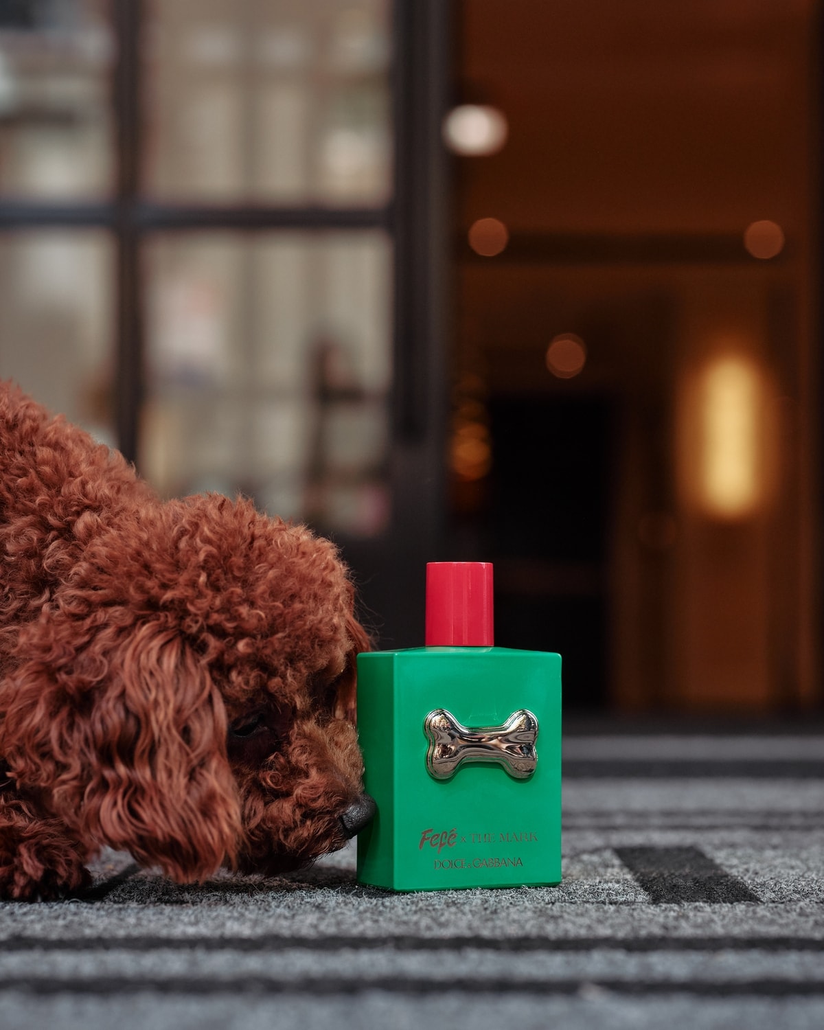 L'edizione limitata della pet fragrance Fefé di Dolce&Gabbana per The Mark hotel (courtesy The Mark hotel)