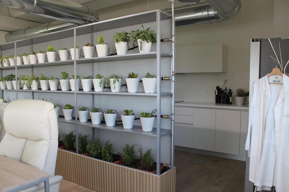 Daor, quando un edificio aziendale imita la natura