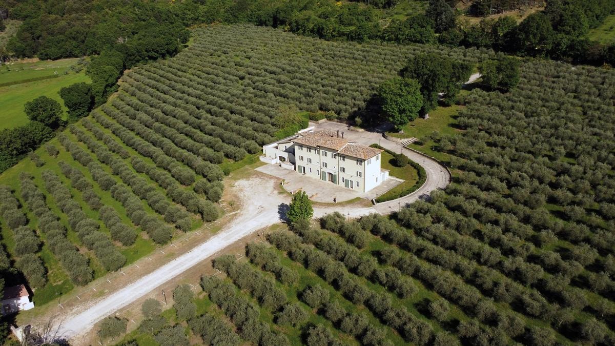 Radici solide per andare lontano con l’export