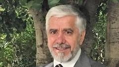 Domenico Ioppolo