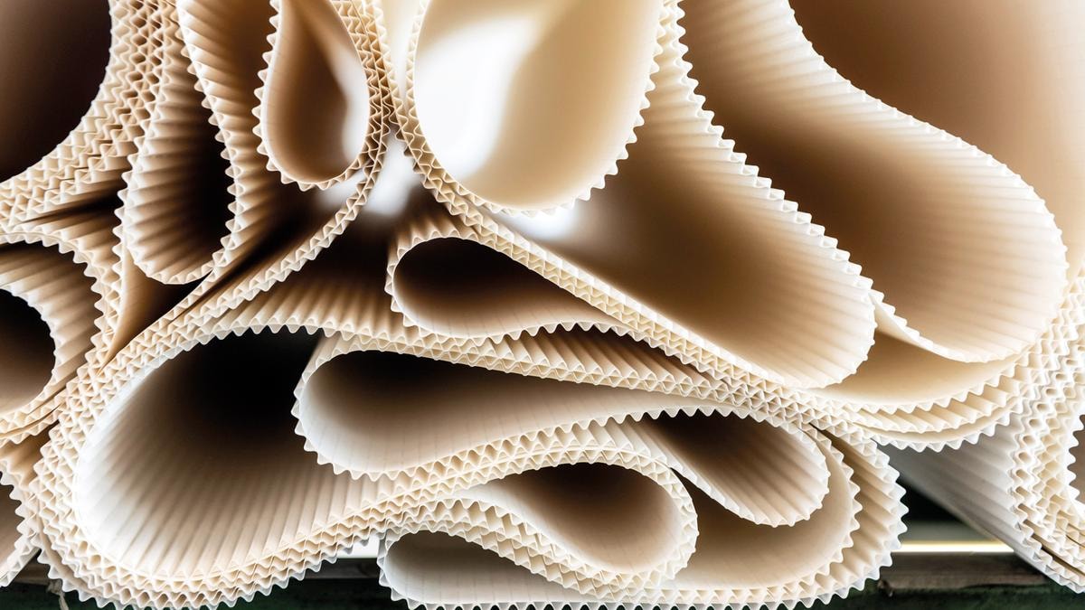 Quattrocento anni di carta, un privilegio che vince il tempo