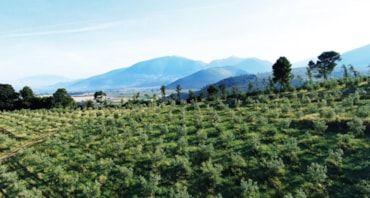 Il futuro è il passato al presente, così il dna si mantiene greenIl futuro è il passato al presente, così il dna si mantiene green