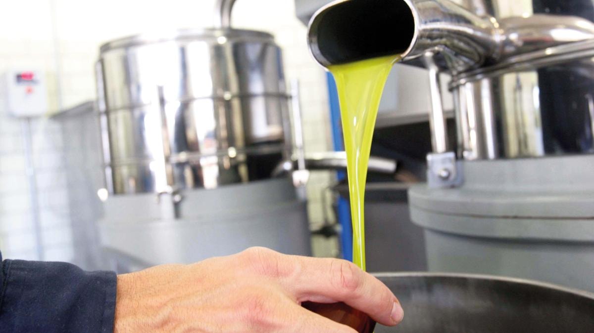 Il futuro è il passato al presente, così il dna si mantiene green