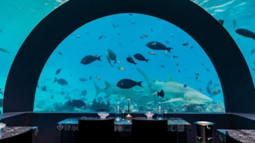 Il ristorante sottomarino sull'isola You&Me