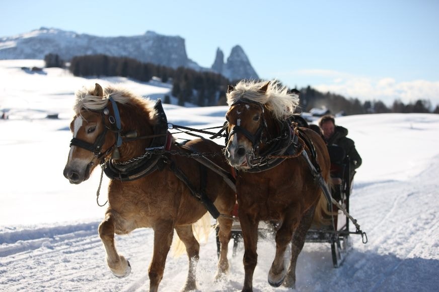 Slitta trainata da cavalli a San Vigilio di Marebbe