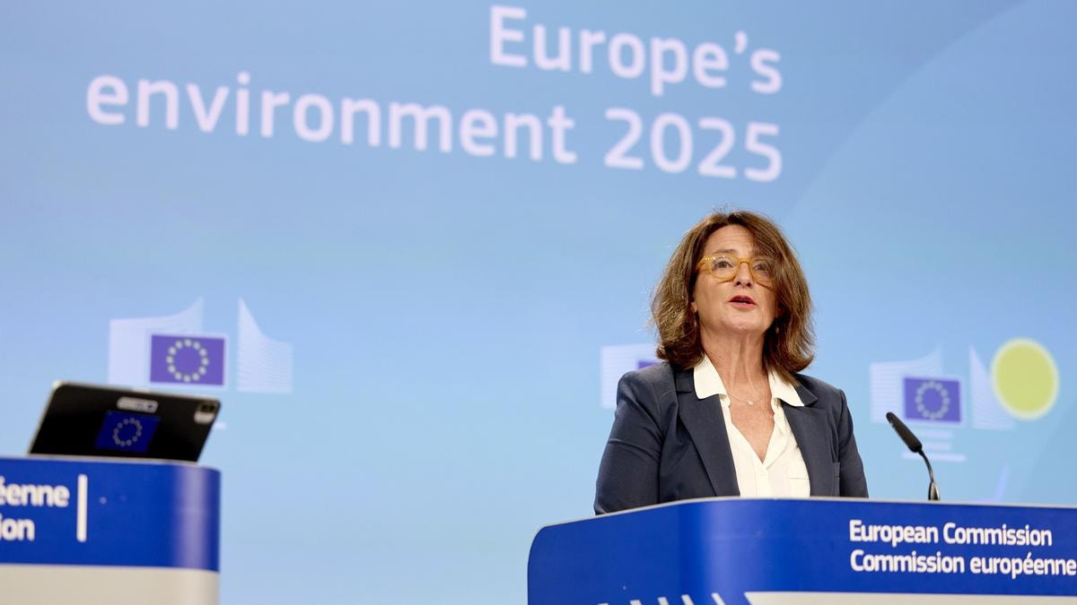 Teresa Ribera, vice presidente Commissione Europea e Dg Concorrenza