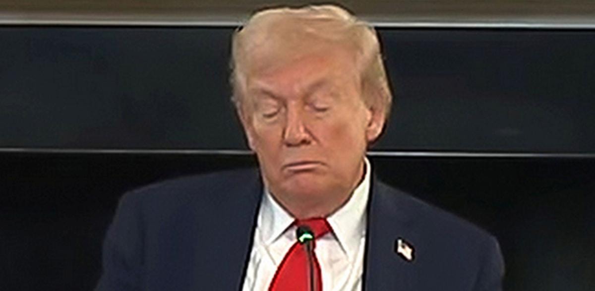 Donald Trump, presidente Usa