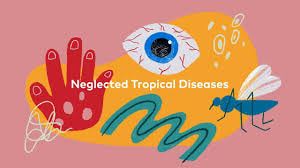 Bologna, presentato l'approccio one health contro le malattie tropicali