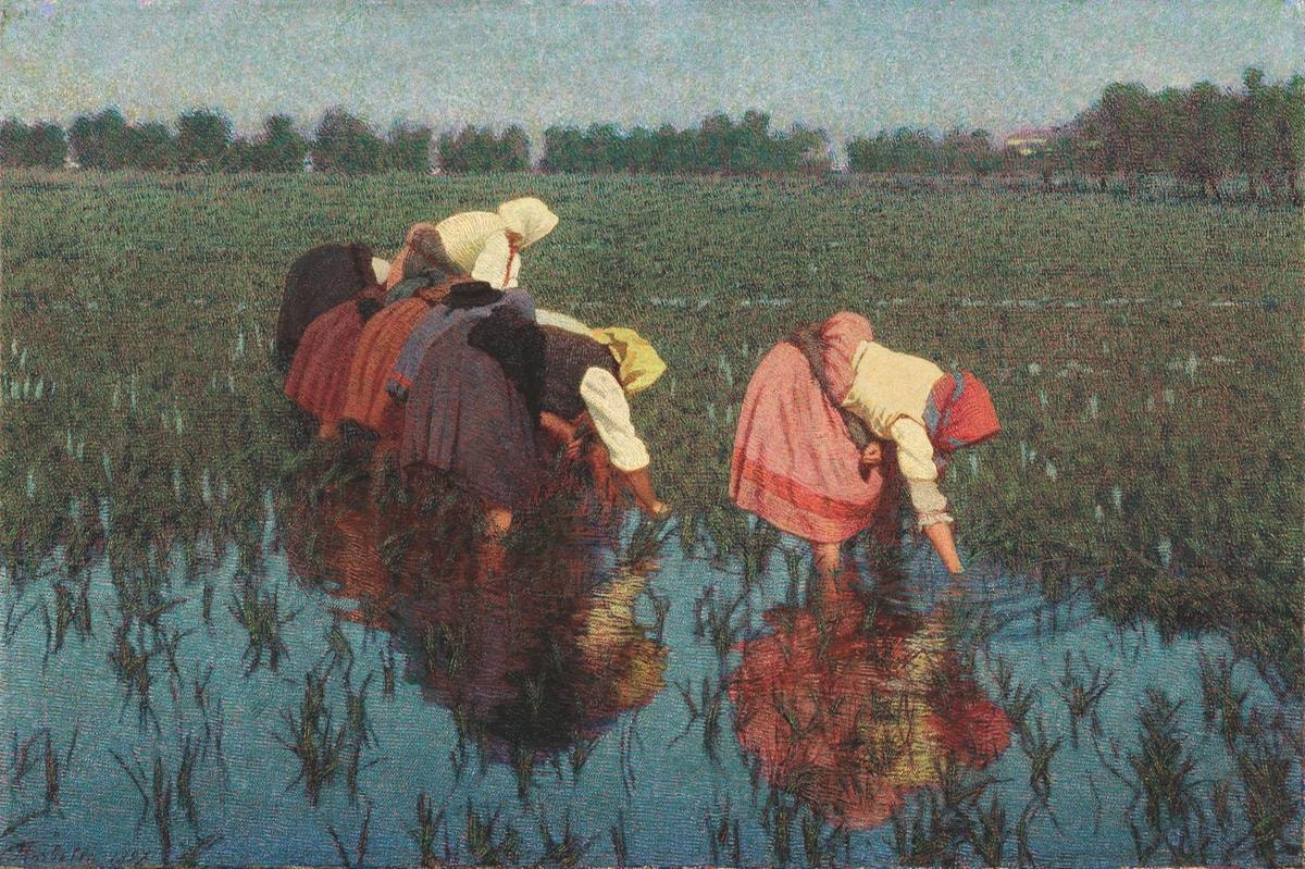 Angelo Morbelli, Le risaiuole, 1897, olio su tela.