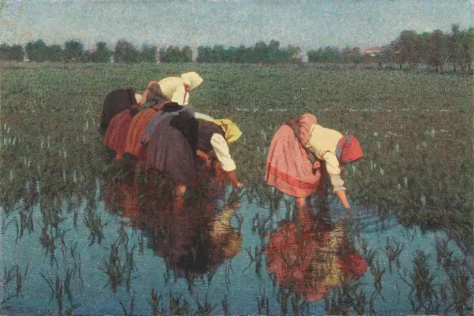 Angelo Morbelli, Le risaiuole, 1897, olio su tela.