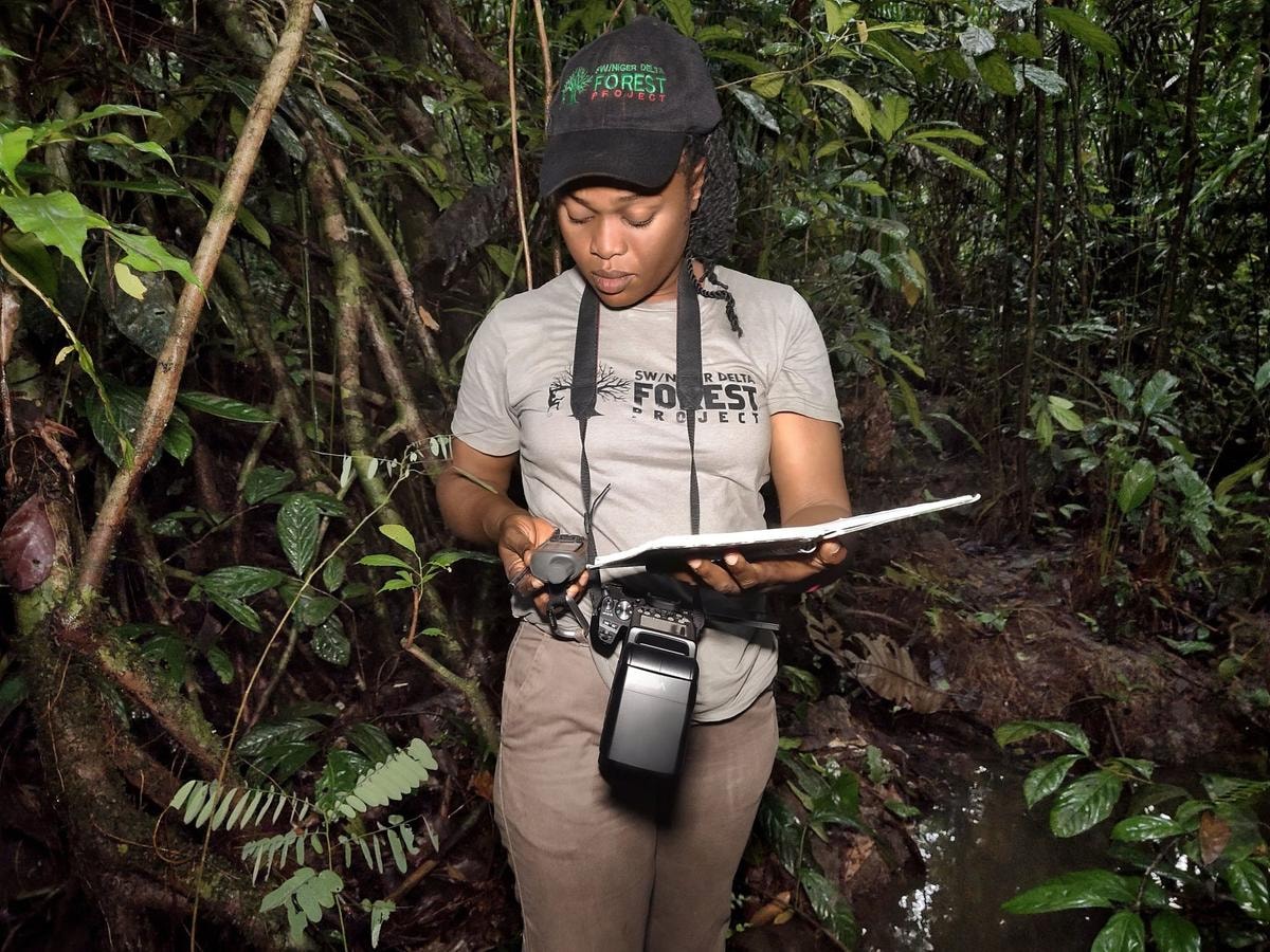 Rachel Ikemeh ha salvato dall’estinzione la scimmia colobo rosso del Niger Delta.