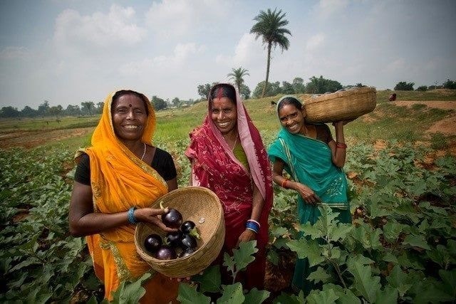 Un'immagine del L'Oréal Fund for women (ph L'Oréal official website, courtesy Women on Wings 2023)