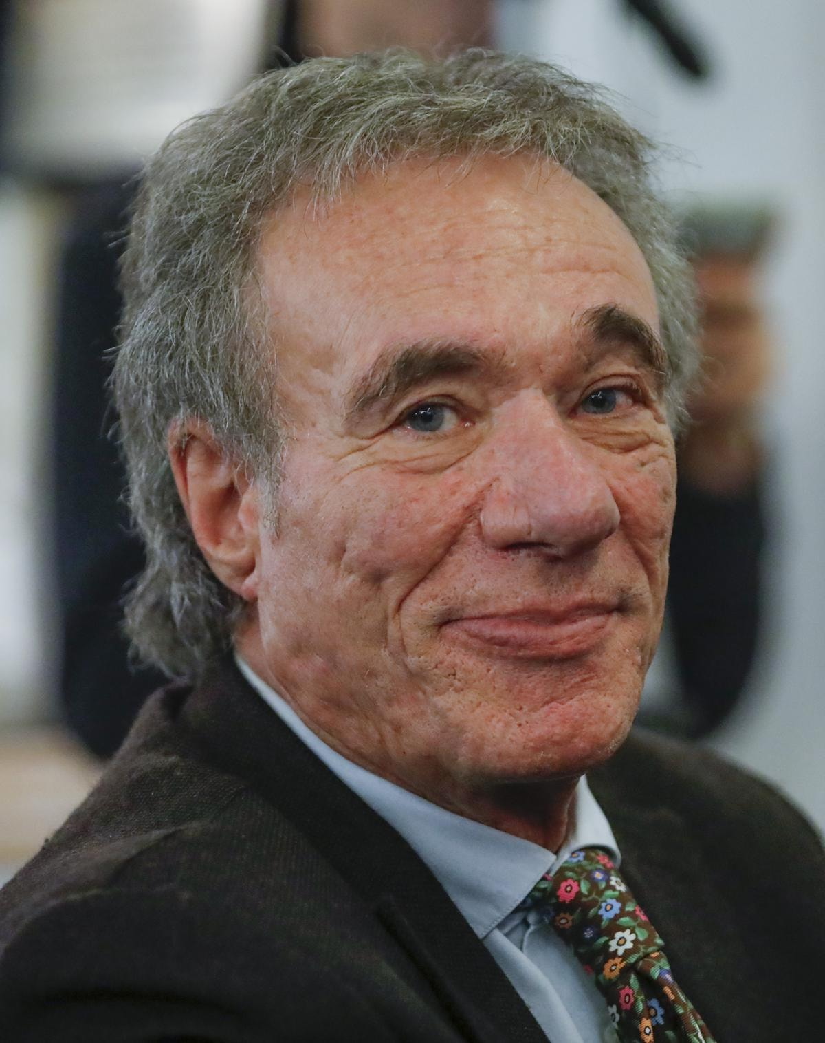 MICHELE AINIS, COSTITUZIONALISTA