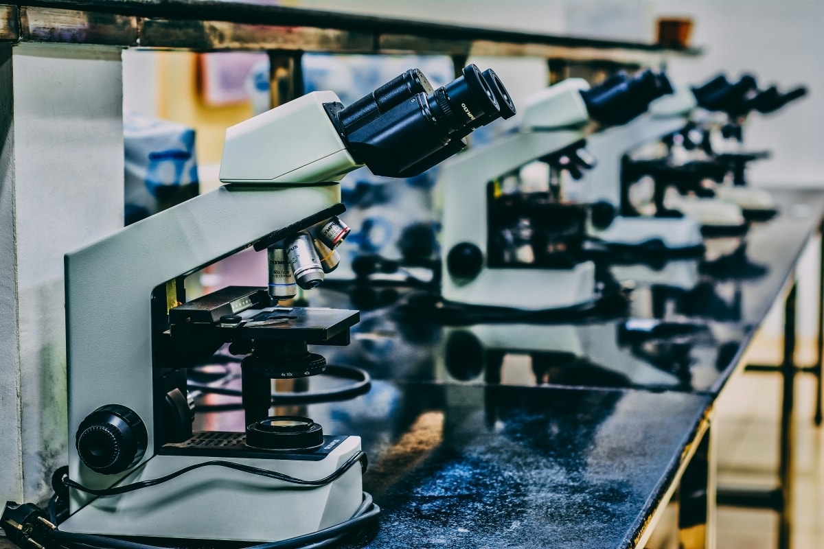 Cellule CAR-T, nuova frontiera per le malattie autoimmuni