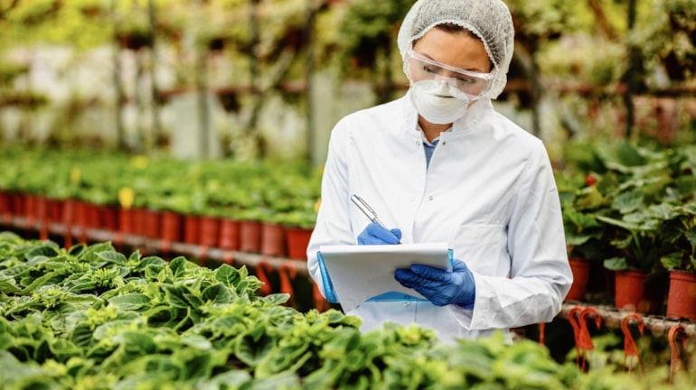HACCP e SAB: obblighi e opportunità per le imprese alimentari