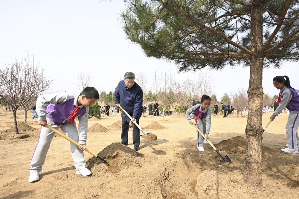 FOCUS CINITALIA Così il Paese contribuisce a un quarto dell'incremento globale di alberi