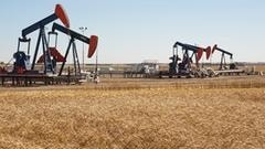 Pozzi petroliferi