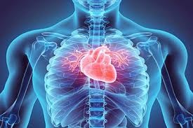 Ok mavacamten negli adolescenti con Cardiomiopatia ipertrofica ostruttiva (oHcm) sintomatica