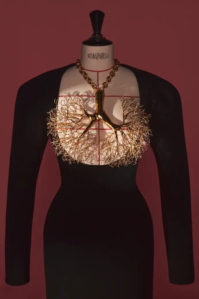Il Lung dress di Daniel Roseberry per Schiaparelli in mostra a Londra (courtesy Schiaparelli)