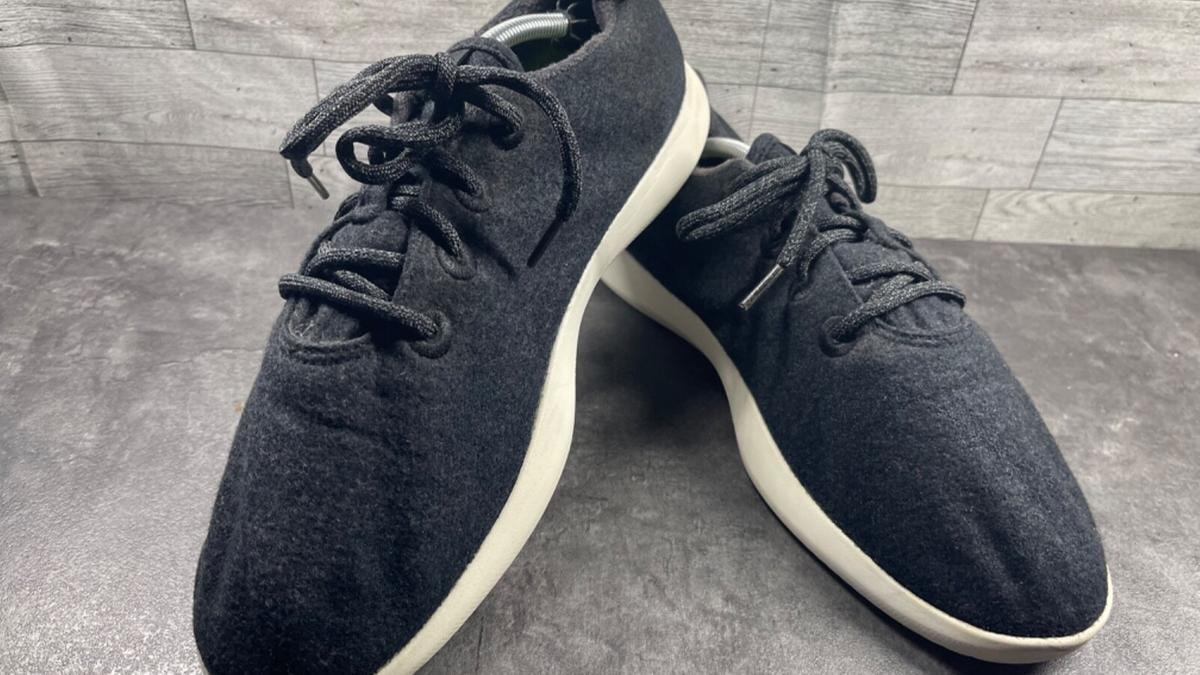 Scarpe o AI? La peculazione va in scena a Wall Street. Il caso Allbirds