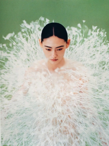 Quando la fragranza è Bold-Zen