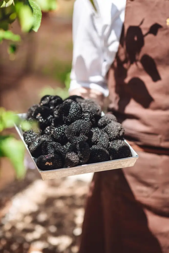 San Pietro a Pettine: esperienza al tartufo tra ospitalità, natura e alta cucina in Umbria