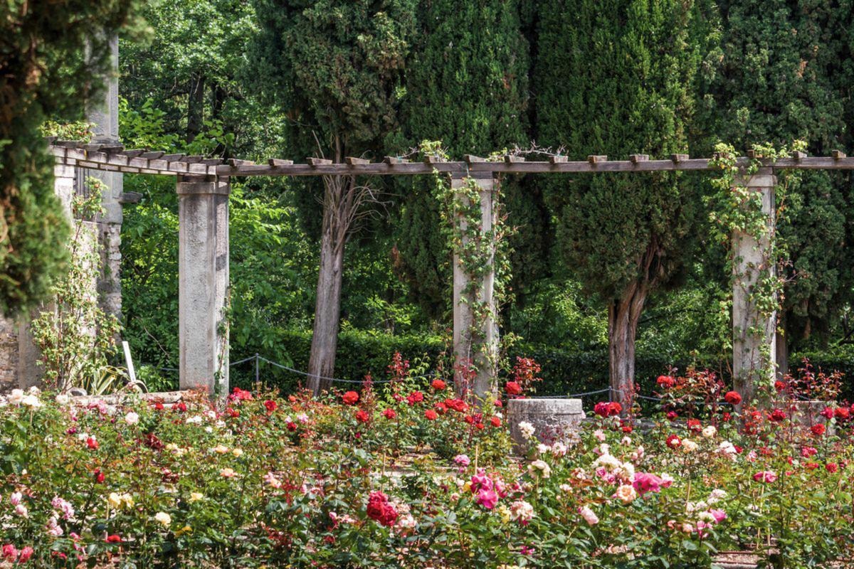Il roseto del Vittoriale degli Italiani.