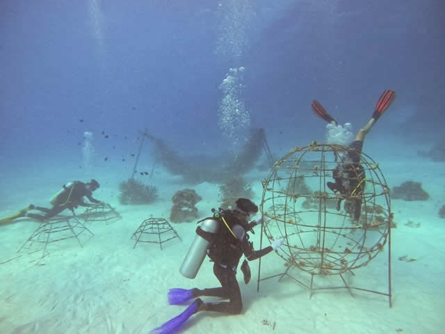Maldive, lusso green nell’Oceano Indiano: dentro i resort Atmosphere Core