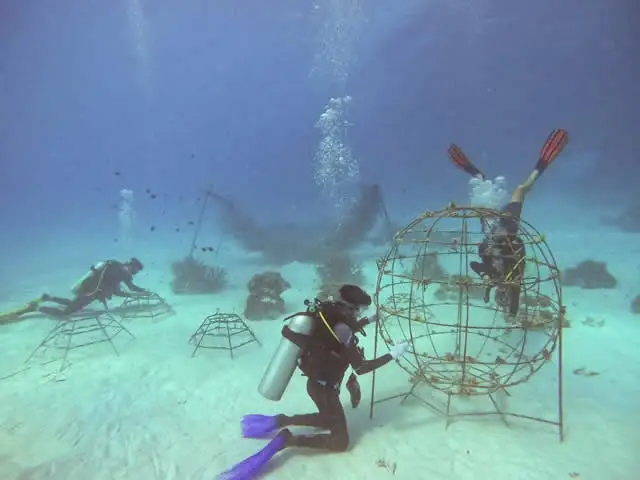 Maldive, lusso green nell’Oceano Indiano: dentro i resort Atmosphere Core
