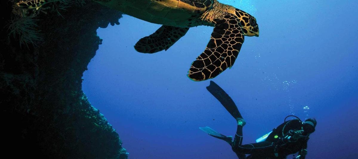 Maldive, lusso green nell’Oceano Indiano: dentro i resort Atmosphere Core
