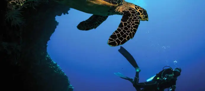 Maldive, lusso green nell’Oceano Indiano: dentro i resort Atmosphere Core