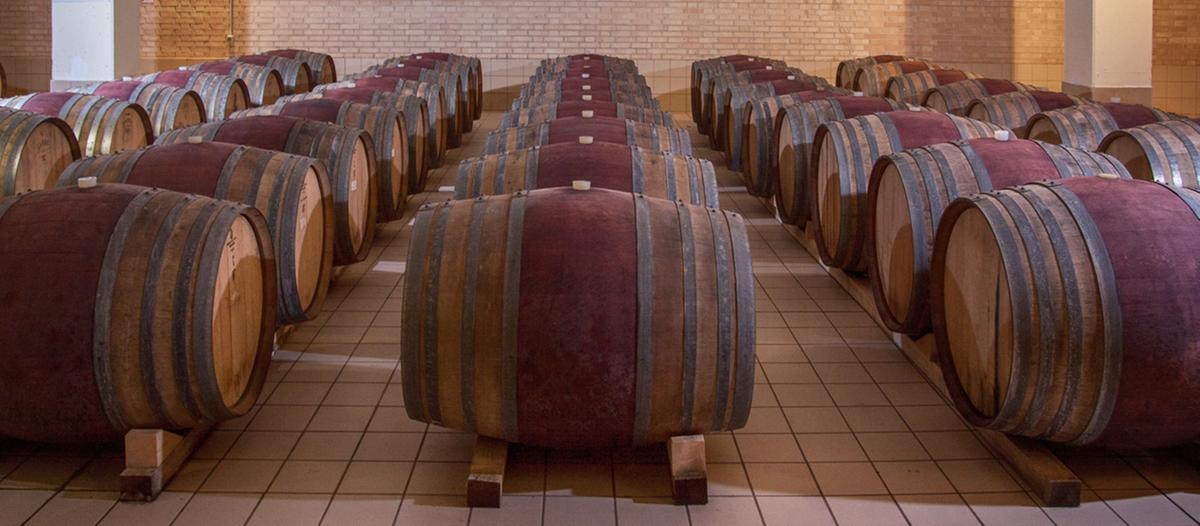 Vino italiano sotto pressione negli Usa: un produttore su tre ha ridotto i prezzi nel 2025