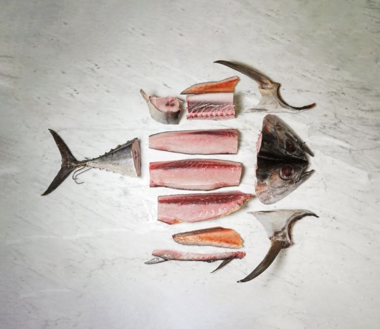 Da Catania a Milano: Alberto Angiolucci apre la macelleria di mare che rivoluziona il pesce frollato