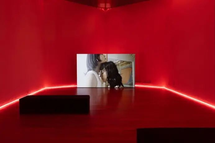 Un'immagine della mostra su Ambrosia Fortuna (ph Lorenzo Palmieri, courtesy Orgoglio Porta Venezia Milano)